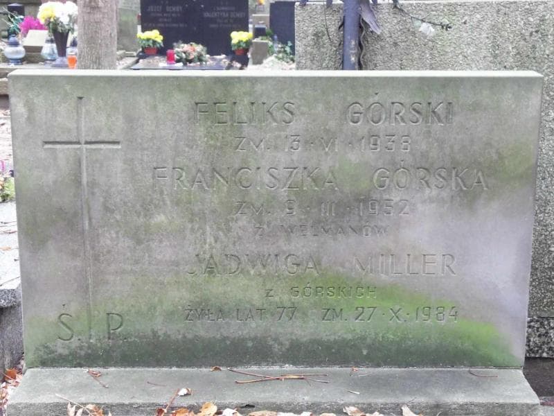 Zdjęcie grobu Franciszka Górska (2)