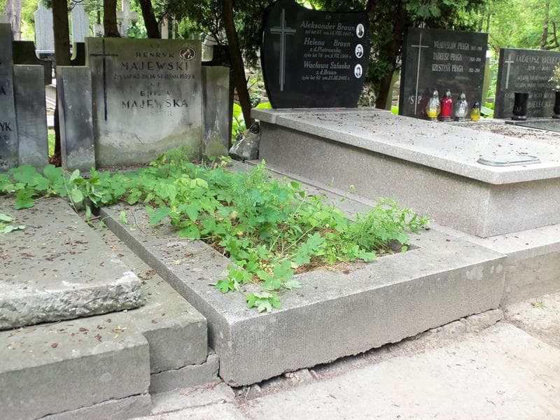 Zdjęcie grobu Henryk Majewski (1)