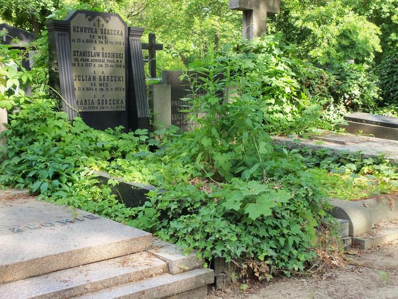 Zdjęcie grobu Maria Górecka (1)