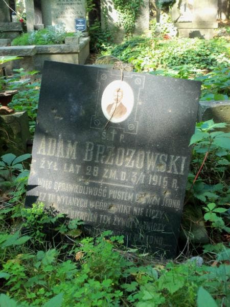 Zdjęcie grobu Adam Brzozowski (2)