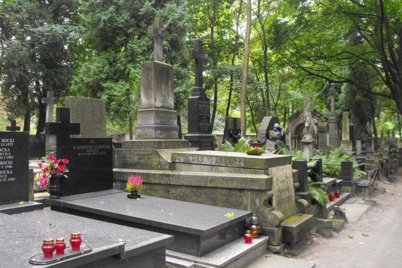 Zdjęcie grobu Alfreda Strussowa (1)