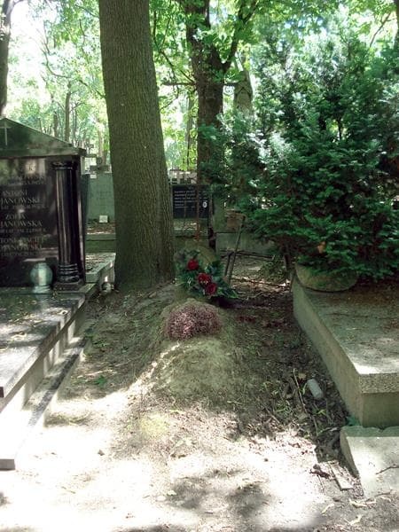 Zdjęcie grobu: Alfred Brylski