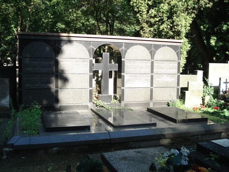 Zdjęcie grobu: Władysław Demkowicz-Dobrzański