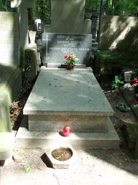 Zdjęcie grobu: Faustyn Mieczysław Szlęzak