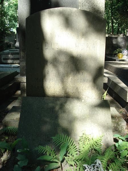 Zdjęcie grobu Teodor Cichocki (1)