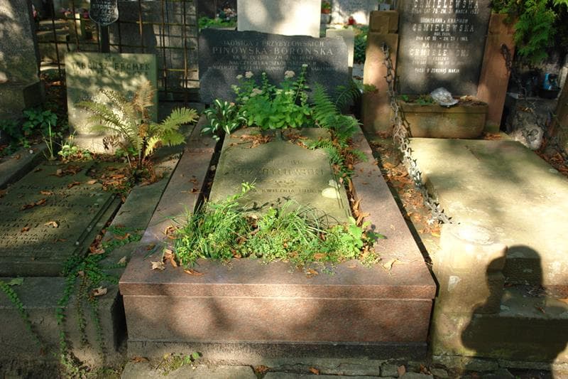 Zdjęcie grobu: Jadwiga Pinowska-Borońska