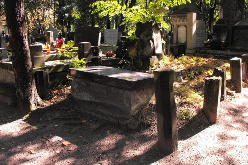 Zdjęcie grobu Henryk Domagalski (1)