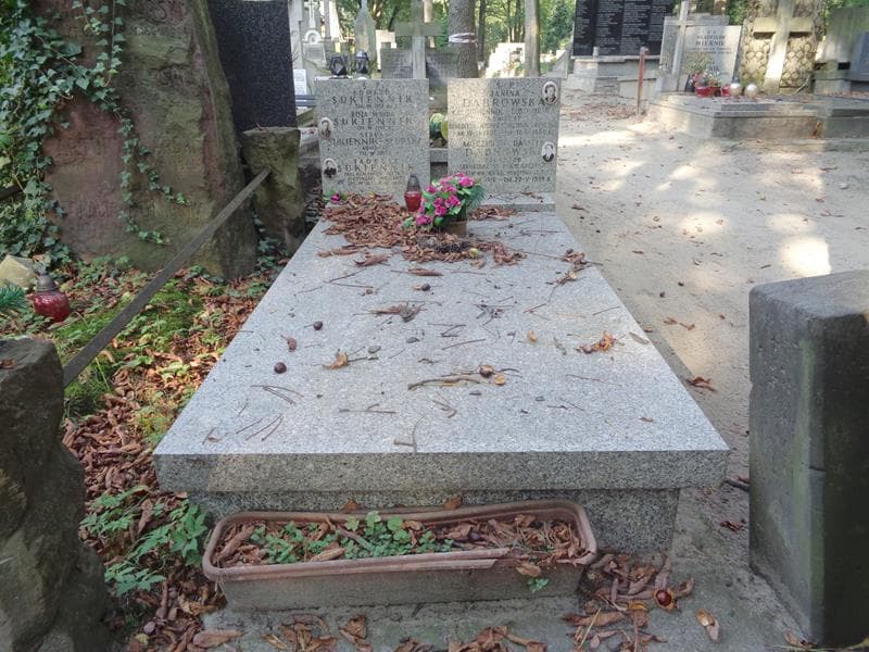 Zdjęcie grobu Janina Dąbrowska (1)