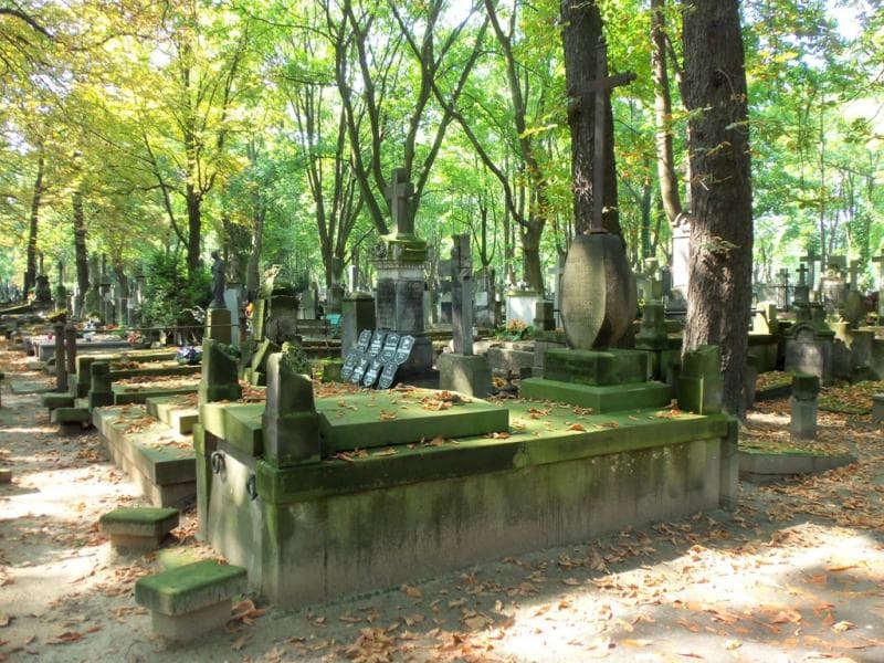 Zdjęcie grobu: Franciszka Hańska