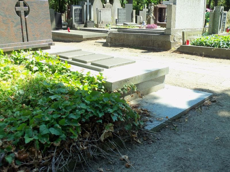 Zdjęcie grobu Anonim (2)