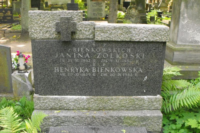 Zdjęcie grobu Henryka Bieńkowska (1)