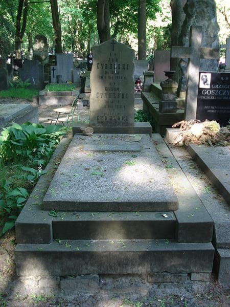Zdjęcie grobu: Witold Cybulski