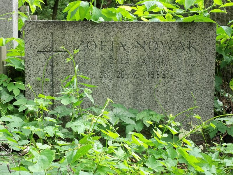 Zdjęcie grobu Zofia Nowak (2)