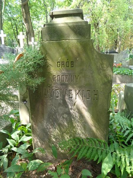 Zdjęcie grobu Makowscy (2)