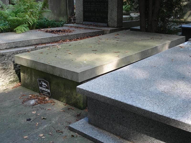 Zdjęcie grobu Maria Wyganowska (2)