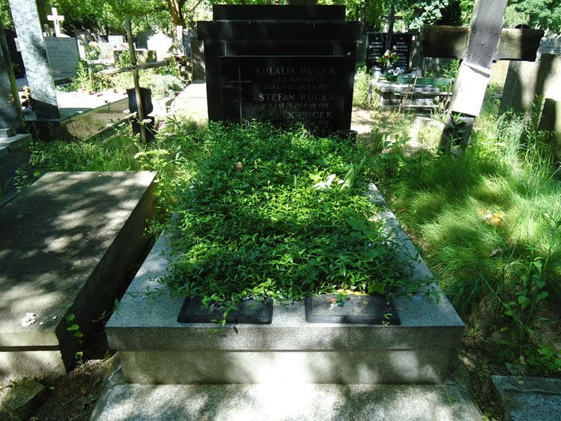 Zdjęcie grobu: Marek Pucek