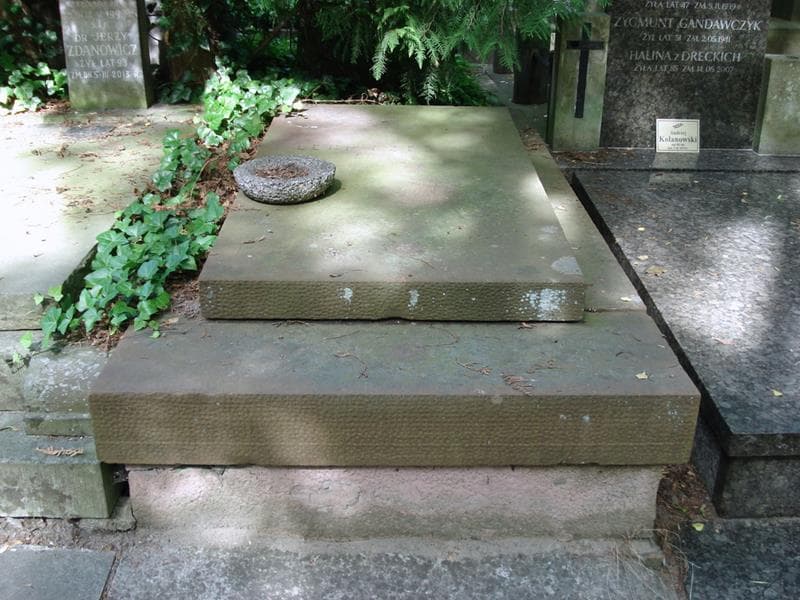 Zdjęcie grobu Leon Czeszer (1)
