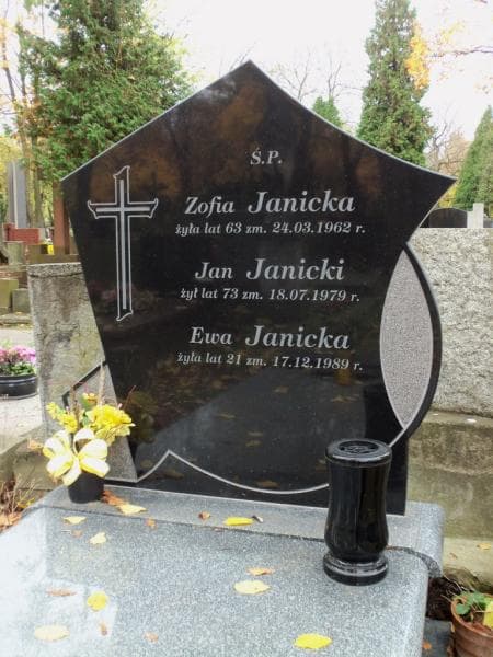 Zdjęcie grobu Jan Janicki (2)