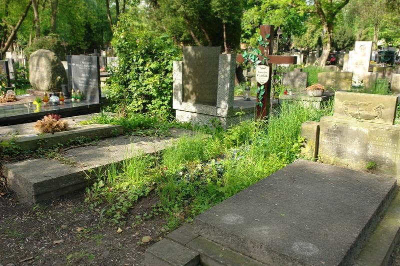 Zdjęcie grobu Stanisław Czyhak (1)
