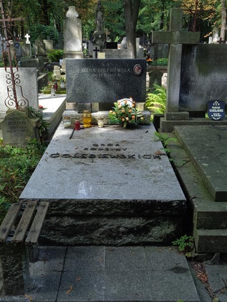 Zdjęcie grobu Irena Gołębiewska (1)