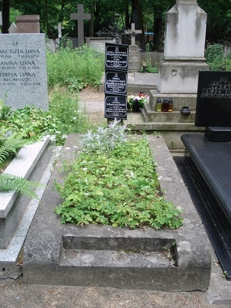 Zdjęcie grobu Stefan Marczyński (1)