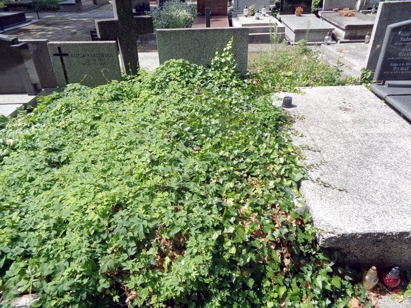 Zdjęcie grobu Eufemia Delofe (1)