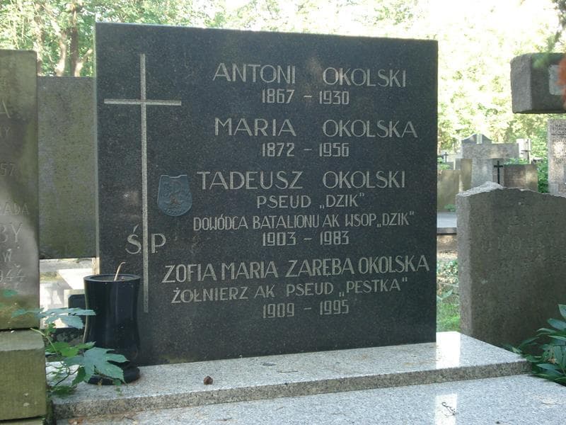 Zdjęcie grobu Antoni Okolski (2)