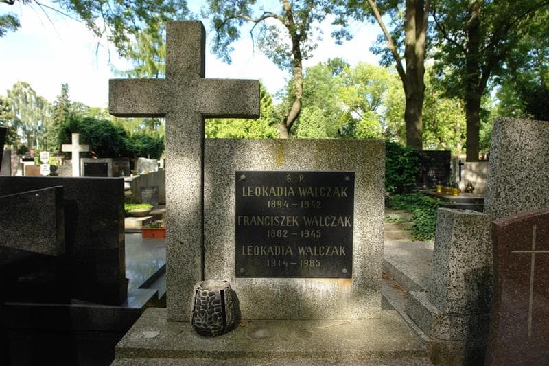 Zdjęcie grobu Leokadia Walczak (2)