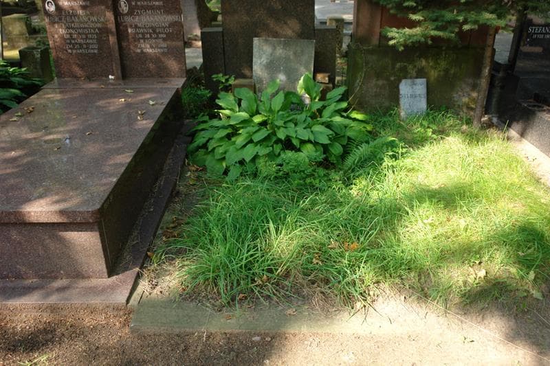Zdjęcie grobu: Feliks Bednarski