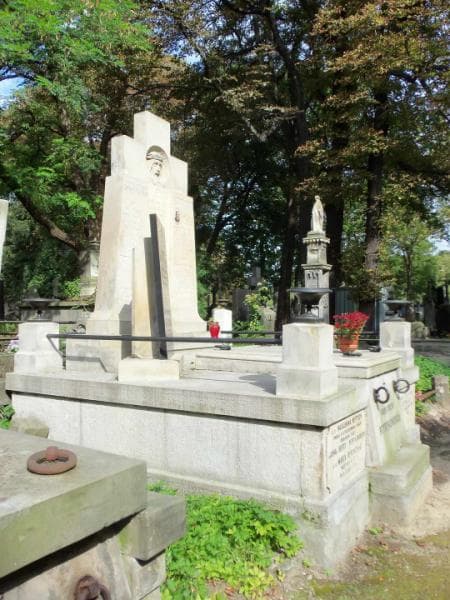 Zdjęcie grobu Aleksander Petrykowski (1)