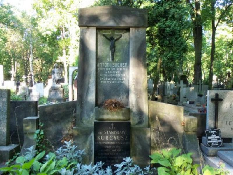 Zdjęcie grobu Stanisław Kurcyusz (2)