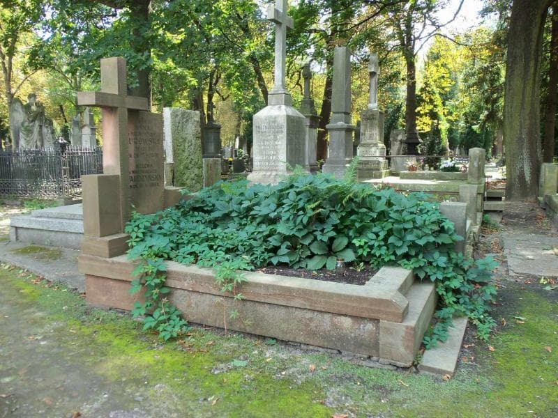 Zdjęcie grobu Anna Kurowska (1)