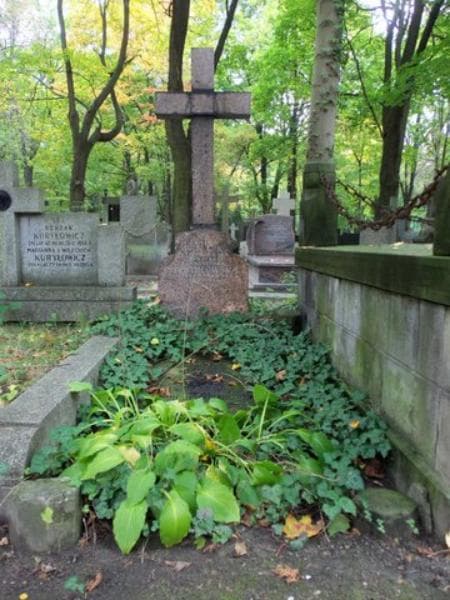 Zdjęcie grobu: Damazy Jerzmanowski