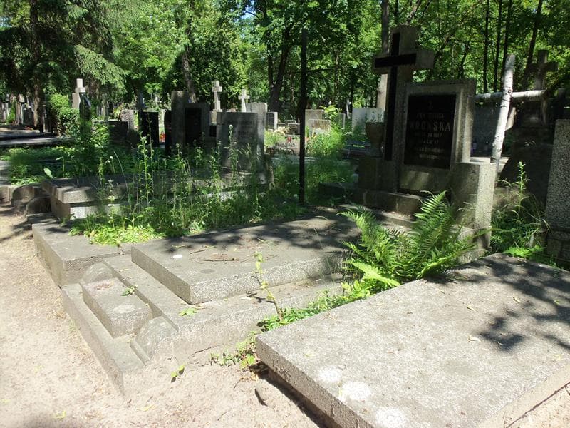 Zdjęcie grobu Ewa Teodora Wrońska (1)
