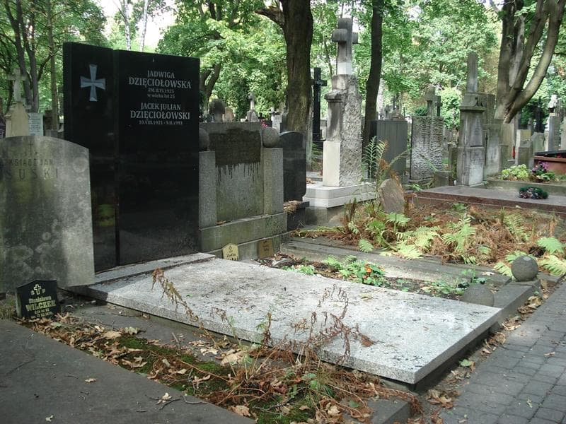 Zdjęcie grobu: Jacek Julian Dzięciołowski