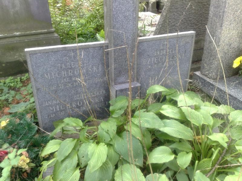 Zdjęcie grobu Andrzej Dzięcielski (2)