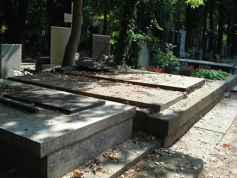 Zdjęcie grobu Tadeusz Wrześniewski (1)