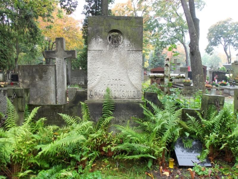 Zdjęcie grobu Kunegunda Chmielewska (2)