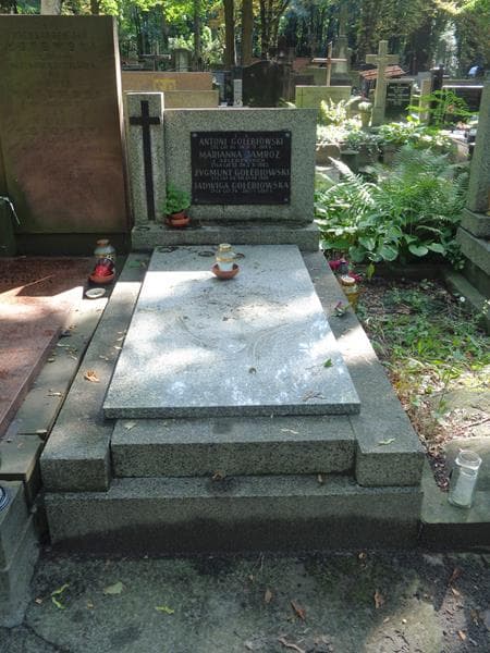 Zdjęcie grobu Jadwiga Gołębiowska (1)