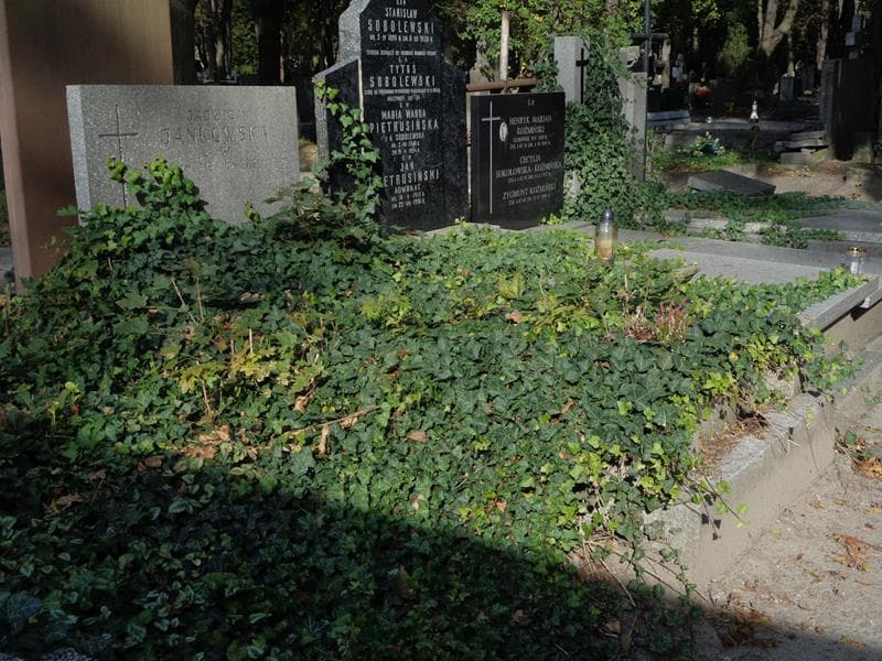 Zdjęcie grobu: Jadwiga Jankowska