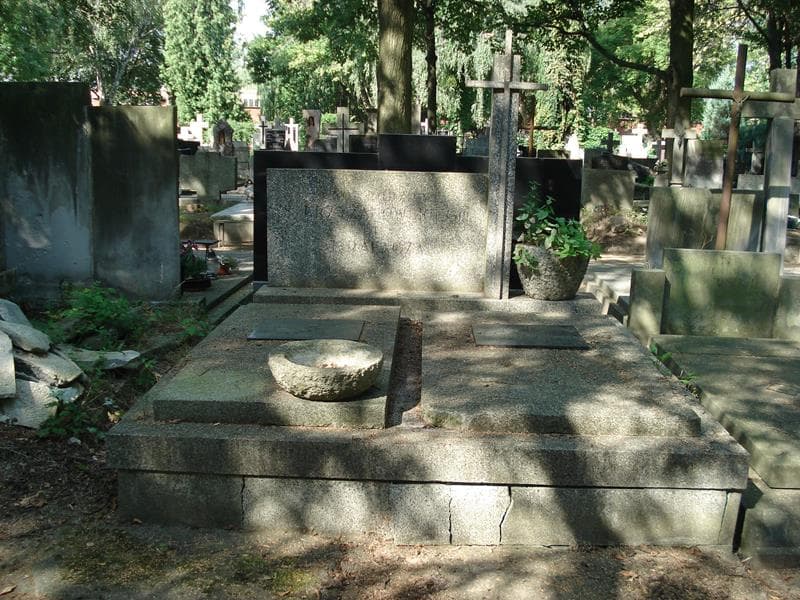 Zdjęcie grobu: Stanisław Krzyżanowski