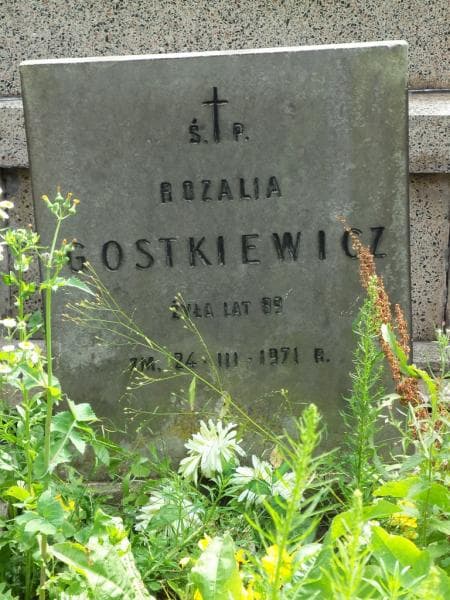 Zdjęcie grobu Rozalia Gostkiewicz (2)