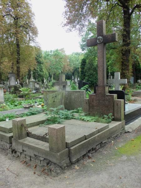 Zdjęcie grobu Ignacy Kulesza (1)