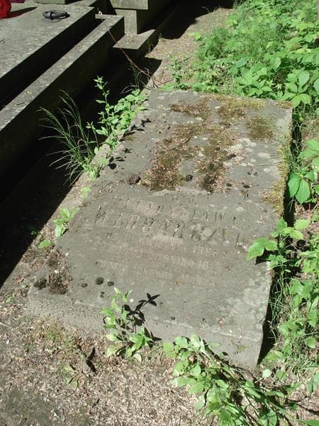 Zdjęcie grobu Władysława Włodarczyk (1)