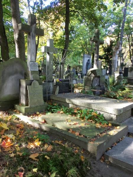 Zdjęcie grobu Krystyna Rożnowska (1)