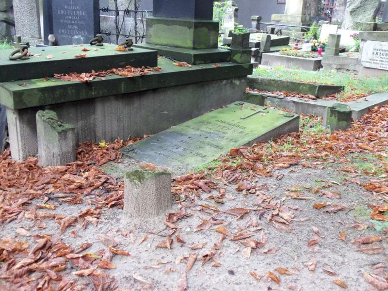 Zdjęcie grobu Fryderyka Agnieszka Gostyńska (1)