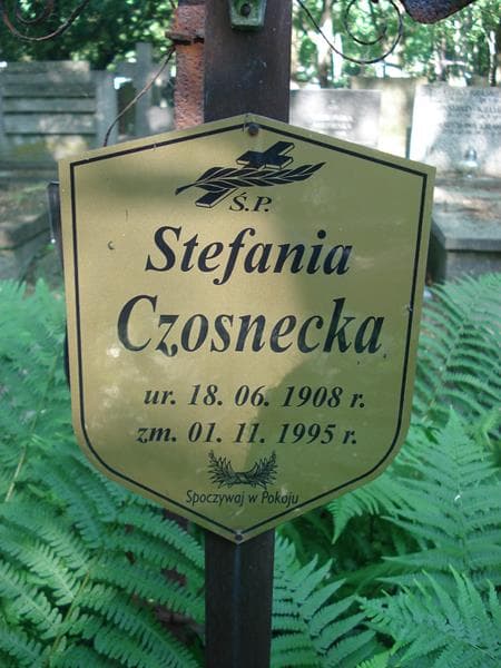 Zdjęcie grobu Stefania Czosnecka (2)