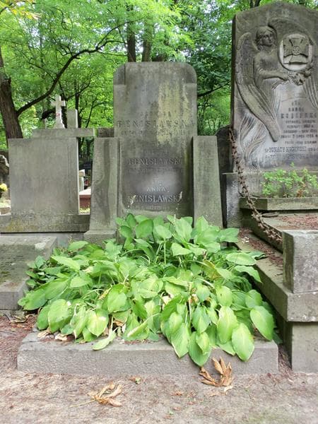 Zdjęcie grobu: Anna Benisławska