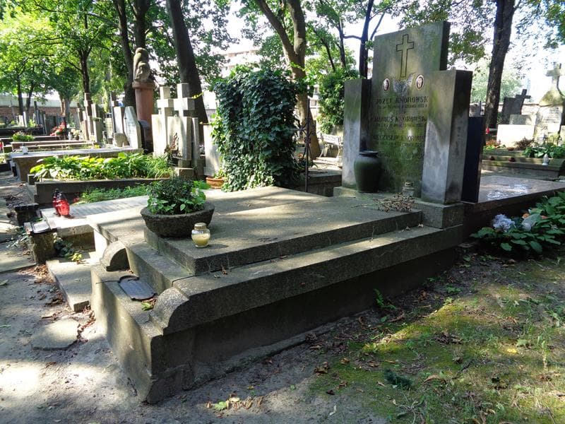 Zdjęcie grobu: Teodora Marcinkowska