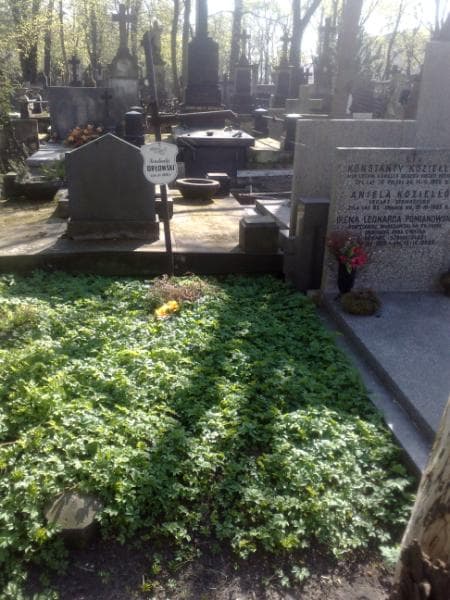 Zdjęcie grobu: Konstanty Orłowski